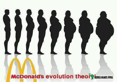 Teoria ewolucji wg. McDonald&apos;s –  
