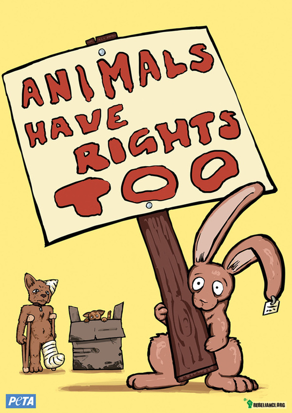 ... – Zwierzęta też mają prawa. 