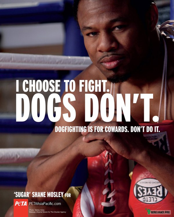 Wybór – Walka to mój wybór.
Psy takiego wyboru nie mają. 
Walki psów są dla tchórzy.
Nie bierz w tym udziału. 