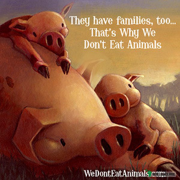 Zwierzęta też mają rodziny. –  