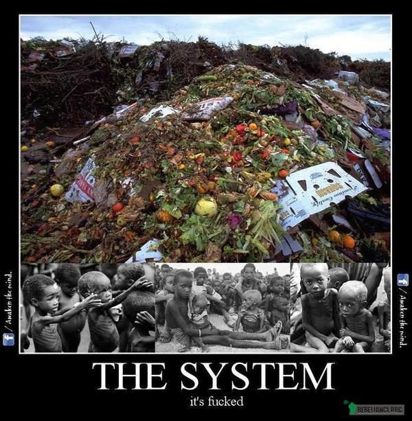 System –  