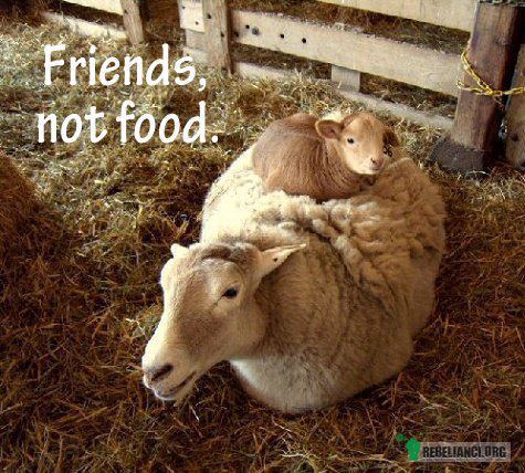 Przyjaciele, nie jedzenie. –  