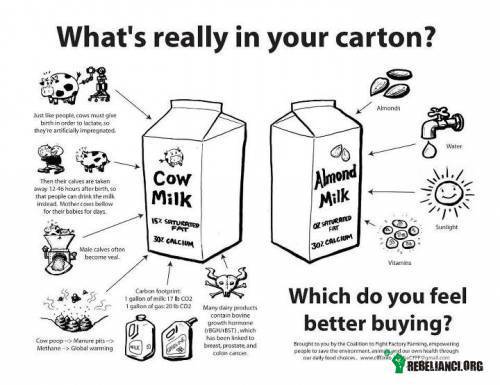 What&apos;s really in your carton ? –  