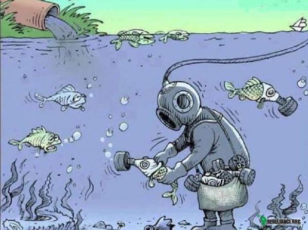 Zanieczyszczenie –  