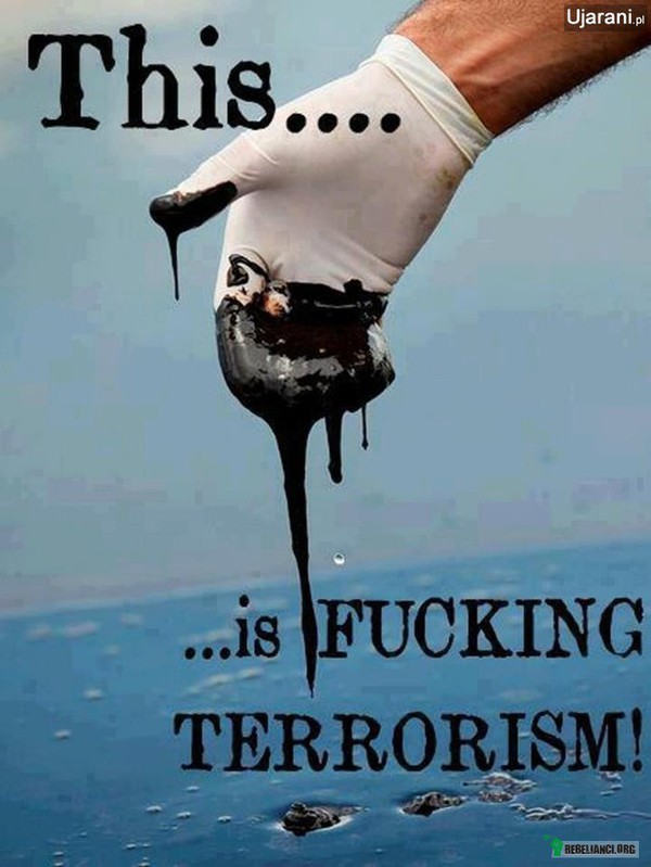 Terroryzm –  