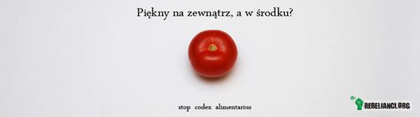 Stop Codex –  