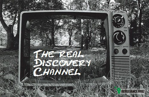 Discovery channel –  