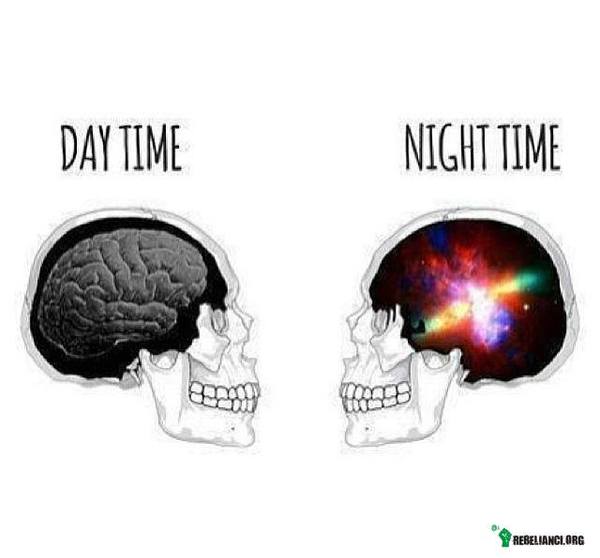 Dzień i noc –  