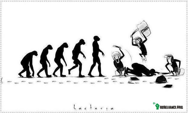 Ewolucja –  