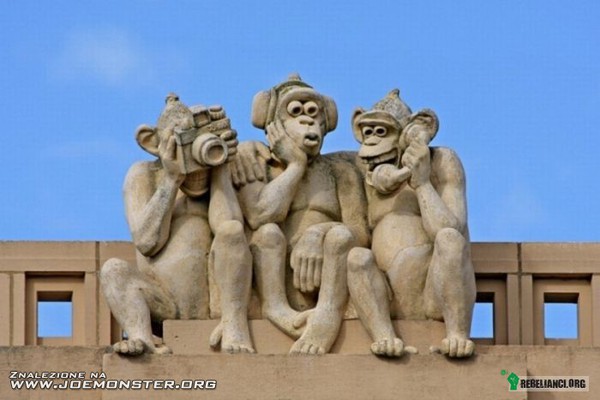 Małpy –  