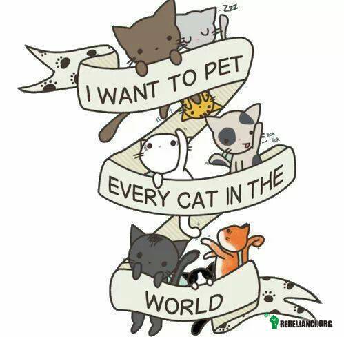 I want to pet every cat in the world! –  
