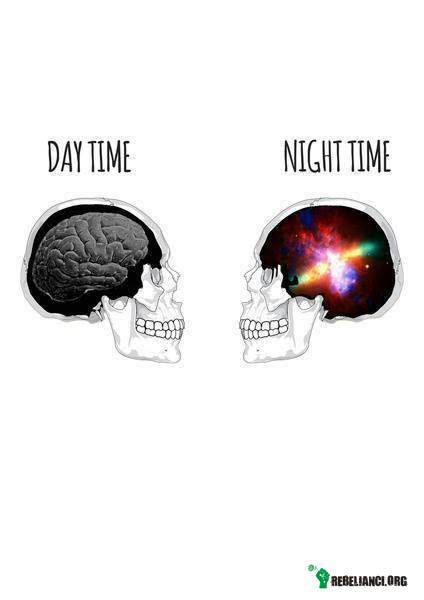 Mózg za dnia i nocą –  