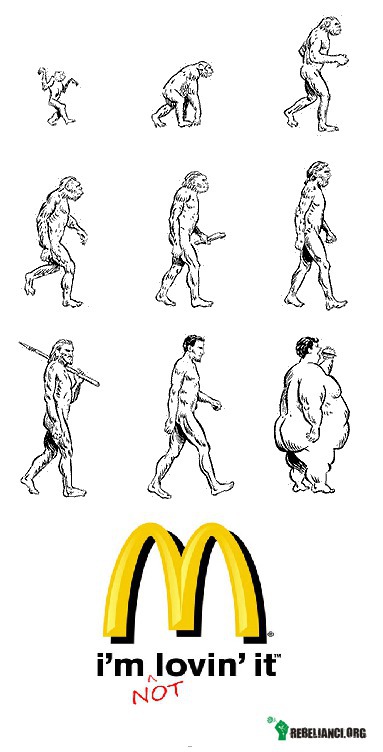 Ewolucja? Nie! –  