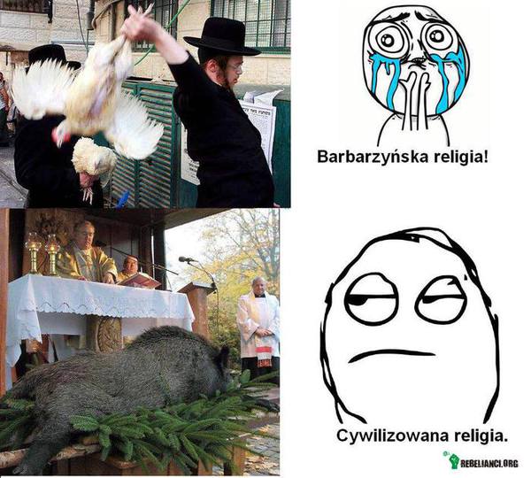 Religia a zwierzęta –  