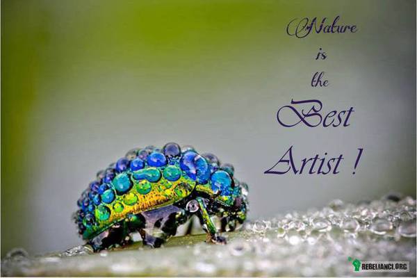 Natura jest najlepszym artystą! –  