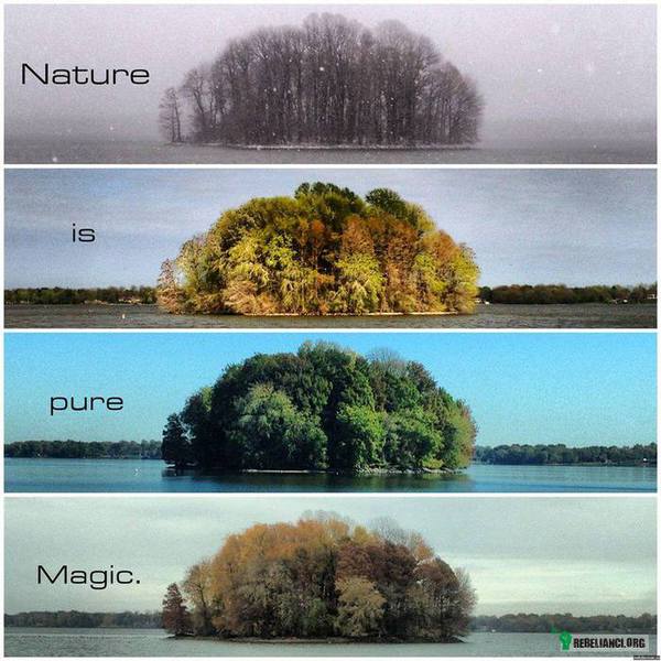 Natura to czysta magia! –  