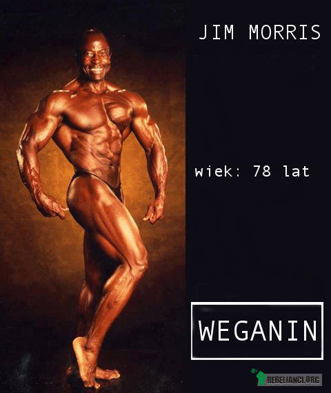 Jim Morris. – &quot;Weganie cierpią na brak protein. Nie da się zrobić masy bez jedzenia mięsa.&quot; - znacie to? 