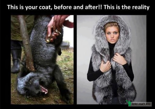 To jest Twój płaszcz przed i po. Tak to wygląda. –  