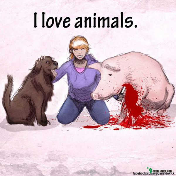 &quot;Kocham&quot; zwierzęta –  