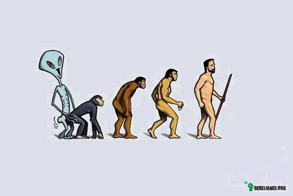 Ewolucja na wesoło. –  
