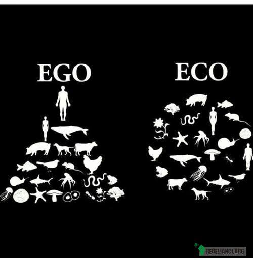 Ego, eko. –  