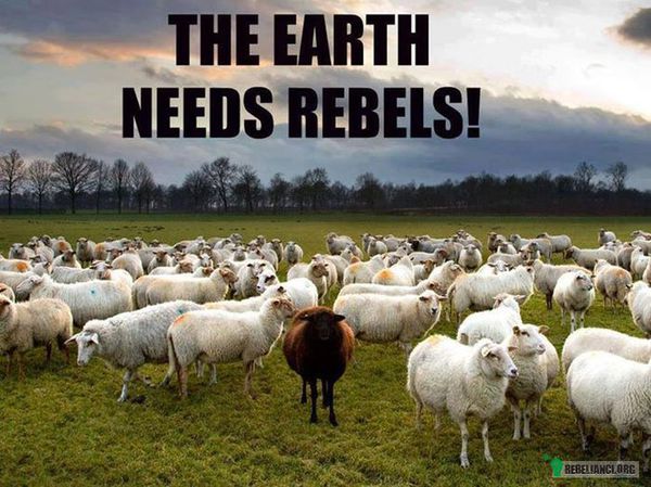 Ziemia potrzebuje buntowników! –  