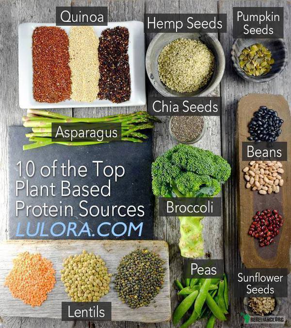 Źródła białka. – Komosa ryżowa, ziarna konopi, pestki dyn, szparagi, brokuły, fasola, groszek, ziarna słonecznika, soczewica... 