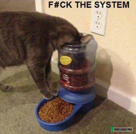 Fuck the system! –  