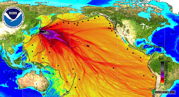Fukusssshhhhhima – Z Fukushimy wycieka skażona woda, liczy się ją w tonach na godzinę. Tak teraz, w tym momencie, radioakrywna woda wycieka do payfiku. 