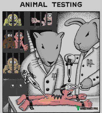 Testy na zwierzętach. –  