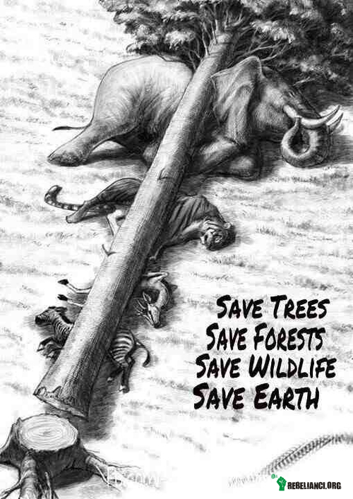 Uratujmy – ratujmy drzewa
ratujmy lasy
ratujmy przyrodę
ratujmy ziemię
:) 
