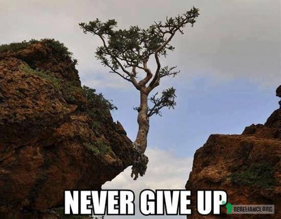 Nigdy się nie poddawaj! –  