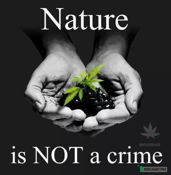 Natura to nie przestępstwo –  