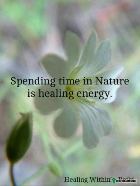 Spędzenie czasu z Naturą to uzdrawiająca energia –  