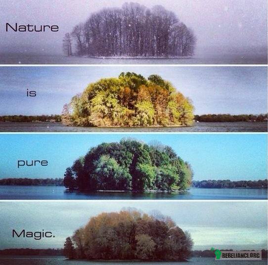 Natura to czysta magia –  