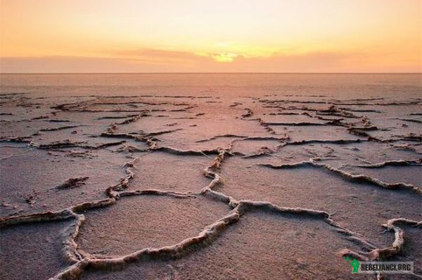 Jezioro Aralskie – Jezioro Aralskie – bezodpływowe, reliktowe, słone jezioro w Kazachstanie i Uzbekistanie, które de facto zanikło na skutek ludzkiej działalności. W jego miejscu znajdują się obecnie cztery oddzielne zbiorniki: Jezioro Północnoaralskie, jezioro (dawna zatoka) Tuszczybas, oraz basen południowo-zachodni i południowo-wschodni. Basen południowo-wschodni jest płytki, bardzo silnie zasolony i okresowo wysycha.

W latach 60. XX w. było to czwarte pod względem powierzchni jezioro na Ziemi. Od tego czasu stale kurczy się z powodu odprowadzania wody z zasilających jezioro rzek Amu-daria i Syr-daria w celach irygacyjnych. Już w roku 1918 władze radzieckie zdecydowały, że na suchych połaciach Kazachskiej SRR, Uzbeckiej SRR i Turkmeńskiej SRR, wzdłuż Amu-darii i Syr-darii uprawiana będzie na wielką skalę bawełna, która ma się stać &quot;białym złotem&quot;, podstawą ekonomii tych republik. W wyniku tych działań republika uzbecka wkrótce stała się (i do dziś Uzbekistan pozostaje) największym eksporterem bawełny na świecie. Jednocześnie w regionie doszło do jednej z największych katastrof ekologicznych w historii ludzkości.

Budowa kanałów przecinających pustynne obszary Kara-kum prowadzona była na wielką skalę od lat 30., przez pierwsze dziesięciolecia całkowicie wbrew wszelkim zasadom sztuki hydrologicznej. W rezultacie aż od 30 do 70% wody, odbieranej rzekom Syr-daria i Amu-daria bezpowrotnie wsiąkało w glebę lub parowało, nie docierając ani do upraw, ani do jeziora. Szacuje się, że do 1960 od 20 do 50 km³ wody zamiast zasilić jezioro - wsiąkło w ziemię. Nawet do dziś tylko 12% długości kanałów nawadniających uszczelniono i zabezpieczono przed stratami wody. Część wód Amu-darii trafia ponadto do znajdującej się na zachód od rzeki Kotliny Sarykamyskiej, gdzie wypełnia, powstałe w niej w ciągu XX wieku, słone Jezioro Sarykamyskie.
Na nowo powstałej pustyni można spotkać statki - nawet kilkadziesiąt kilometrów od dzisiejszego brzegu

Od lat 60. poziom wody w Jeziorze Aralskim zaczął systematycznie opadać w tempie około 20 cm rocznie. W następnej dekadzie już 50-60 cm rocznie, potem nadal przyspieszył i dziś wynosi nawet 80-90 cm rocznie. W 1960 powierzchnia jeziora wynosiła 68,5 tys. km² (niemal tyle, co powierzchnia Republiki Irlandii), do roku 2009 powierzchnia jeziora zmniejszyła się o 4/5, do 13,5 tys. km². W 1960 jezioro było czwartym co do wielkości na świecie, obecnie spadło na szesnaste miejsce. Zanikanie wód jeziora doprowadziło do jednej z największych katastrof ekologicznych na obszarze byłego ZSRR, co nie było zresztą żadnym zaskoczeniem dla władz sowieckich, którym raporty o przewidywanym wyschnięciu jeziora przedstawiono już wiele lat wcześniej. Przeważyła jednak irracjonalna teza, że powstanie i istnienie jeziora Aralskiego jest &quot;oczywistą pomyłką natury&quot;, i że bieżące potrzeby społeczeństwa sowieckiego Uzbekistanu są ważniejsze od opinii ekologów. Wykorzystanie wód Amu-darii i Syr-darii do nawadniania rosło więc nadal mimo obserwowanego zanikania jeziora i w okresie między 1960 a 1980 rokiem podwoiło się. W tym samym czasie podwoiła się też skala produkcji uzbeckiej bawełny. Woda z Amu-darii i Syr-darii wykorzystywana jest nie tylko do upraw bawełny ale i ryżu. Na terenach niemal pustynnych zakładano plantacje monokultur roślin o gigantycznym zapotrzebowaniu wody. Irracjonalna gospodarka rolno-spożywcza i wodna (na utrzymanie sieci kanałów w czasach ZSRR wydawano około 25$/ha, obecnie 1,5$ - 10$) doprowadziła do zahamowania zasilania z rzek.
Udział dostaw wody z Syr-darii i Amu-Daii (zasilanie powierzchniowe), zasilania podziemnego i wielkość parowania z powierzchni jeziora w ogólnym bilansie wodnym Jeziora Aralskiego.

Wzrost produkcji bawełny nie kalkulował się jednak z kosztami. Już w latach osiemdziesiątych załamał się przemysł przetwórstwa rybnego w Aralsku. Niemal wszystkie organizmy zamieszkujące wody Jeziora Aralskiego wymarły na skutek drastycznego wzrostu zasolenia. Źródło utrzymania większości mieszkańców regionu - ryby - przestało istnieć. Szacuje się, że koszty zapaści gospodarki rolno-spożywczej i turystyki, a przede wszystkim pomoc humanitarna to średnio dwa miliardy dolarów rocznie.

Również co najmniej od lat 60. XX w. na znajdującej się na Jeziorze Aralskim wyspie Wozrożdienija (Odrodzenia) znajdował się sowiecki tajny poligon broni biologicznej. Z powodu stale postępującego wysychania jeziora, mniej więcej pomiędzy czerwcem 2000 a czerwcem 2001 zanikł pas wody dzielący południowy brzeg wyspy od terytorium Uzbekistanu. Od tego czasu żyjące w tym rejonie zwierzęta lądowe mogą bez przeszkód przemieszczać się pomiędzy byłym poligonem a otaczającym go lądem stałym, co w istotny sposób zwiększa niebezpieczeństwo niekontrolowanego i niedającego się przewidzieć rozprzestrzeniania z porzuconych laboratoriów nieznanych szczepów groźnych drobnoustrojów. W 2002 roku została przeprowadzona ekspedycja, w wyniku której zneutralizowano 100-200 ton pozostawionego tam wąglika.

Nowo powstała pustynia Aral-kum, zajmująca obszar dawnego dna jeziora, jest skażona środkami ochrony roślin spłukiwanymi z pól przez kanały nawadniające. W rejonie tym wieją silne wiatry zachodnie, które przenoszą pył i zanieczyszczenia na odległość tysięcy kilometrów. Na obszarze wyschniętej misy jeziornej i okolicach występują burze solne - na podobieństwo burz piaskowych przenoszą drobinki soli na ogromne odległości. Przyczynia się to do rozszerzania się strefy pustynnej, niszczenia upraw oraz ogromnej zachorowalności na raka układu oddechowego, schorzenia wzroku i zmiany skórne.


Porównanie: wygląd Jeziora Aralskiego w ciągu ostatnich lat:

http://rebelianci.org/486573/Jezioro-Aralskie 