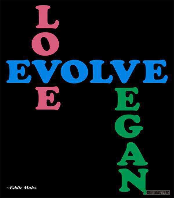 LOVE< EVOLVE< VEGAN –  