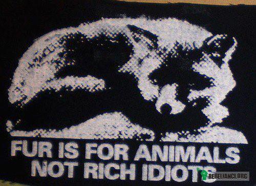 Futro jest dla zwierząt, nie dla bogatych idiotów. –  
