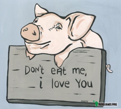 Don&apos;t eat pig – &quot;Uwzględniając jedynie fakt Posiadania centralnego układu nerwowego oraz możliwości odczuwania bólu, głodu i pragnienia, świnia jest szczurem, jest psem, jest kotem, jest chłopcem.&quot;
Ingrid Newkirk 