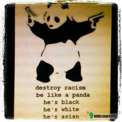 Panda – &quot;Niszcz rasizm! Bądź jak panda - jest czarna, jest biała i do tego azjatycka!&quot; 