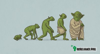 Ewolucja Yody –  