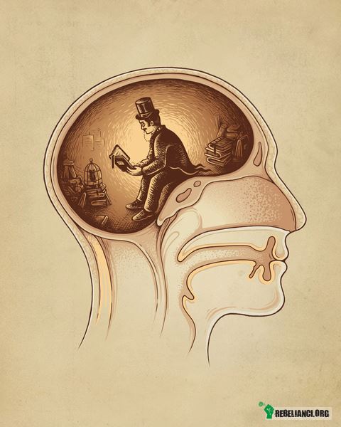 Mózg. –  