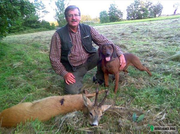 Jedno zwierzę przytula, a drugie morduje. – Prezydent Bronisław Komorowski strasznie się męczy. Według jego najbliższych aż skręca go, gdy widzi strzelbę, z którą - z powodów wizerunkowych - nie może ruszyć na polowanie. 