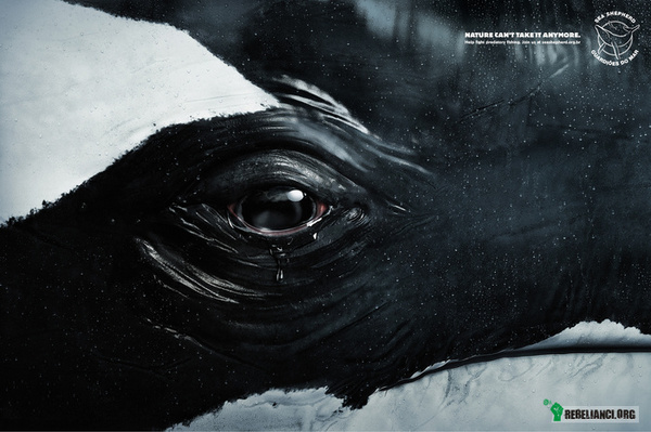 Sea shepherd – Przyroda dłużej nie wytrzyma.
Pomóż walczyć z rabunkowym rybołówstwem. 
Dołącz do nas na www.seashepherd.org.br 