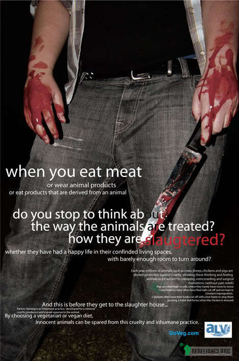Kiedy jesz mięso... – Kiedy jesz mięso przestajesz myśleć? 