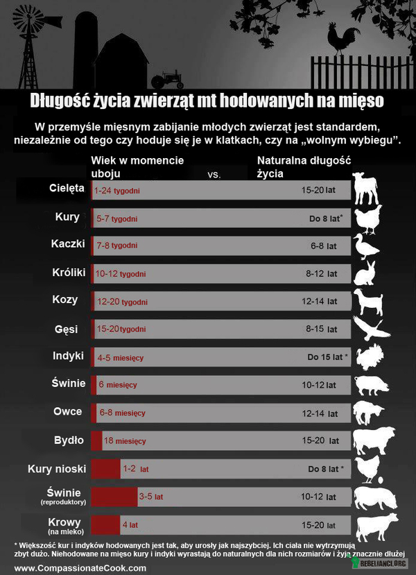 Długość życia zwierząt hodowanych na mięso –  