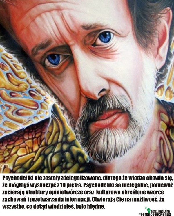 Terence McKenna –  