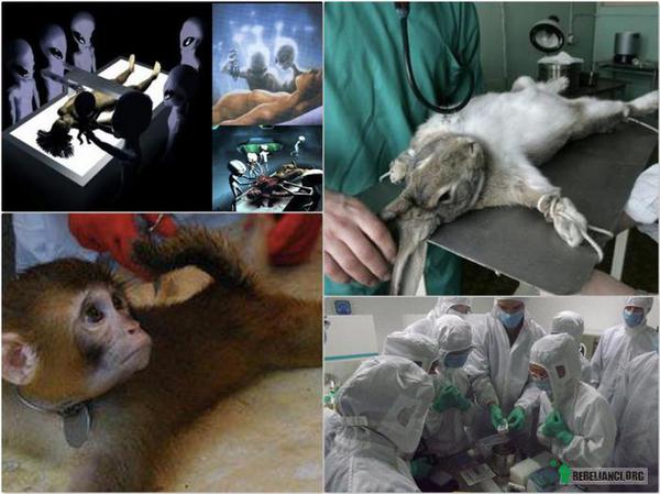 Stop testom na zwierzętach! Podpisz petycję. – http://www.thepetitionsite.com/8/against-animal-testing-of-any-kind/

Podpisz i podaj dalej! 