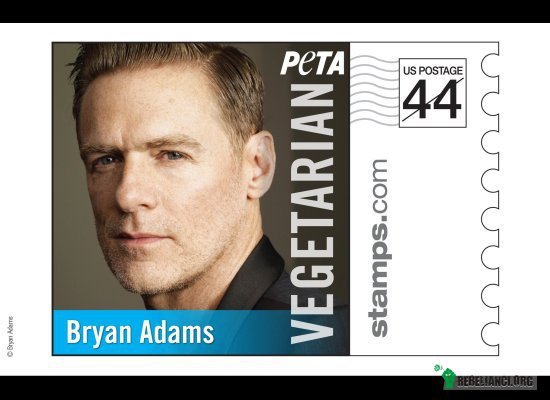 ... – Bryan Adams przestał jeść mięso w 1989 roku, z czasem przechodząc na całkowicie wegańską dietę. 