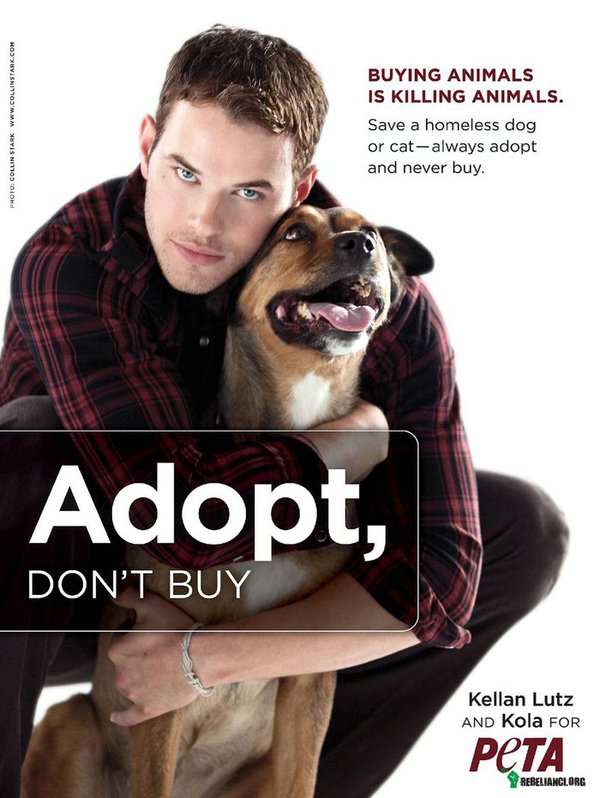 Nie kupuj. Adoptuj. – Kupowanie zwierząt to zabijanie zwierzat.
Uratuj bezdomnego psa lub kota. 
Nigdy nie kupuj.
Zawsze adoptuj. 